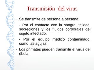 Transmisión del virus 
● Se transmite de persona a persona: 
- Por el contacto con la sangre, tejidos, 
secreciones y los fluidos corporales del 
sujeto infectado. 
- Por el equipo médico contaminado, 
como las agujas. 
● Los primates pueden transmitir el virus del 
ébola. 
 