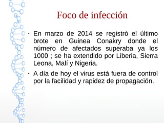 Foco de infección 
● En marzo de 2014 se registró el último 
brote en Guinea Conakry donde el 
número de afectados superaba ya los 
1000 ; se ha extendido por Liberia, Sierra 
Leona, Malí y Nigeria. 
● A día de hoy el virus está fuera de control 
por la facilidad y rapidez de propagación. 
 