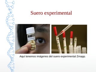 Suero experimental 
Aquí tenemos imágenes del suero experimental Zmapp. 
 