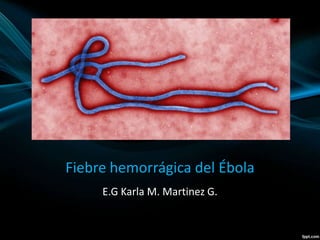 Fiebre hemorrágica del Ébola 
E.G Karla M. Martinez G. 
 
