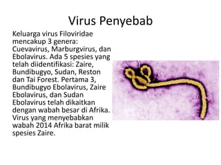 Virus Penyebab 
Keluarga virus Filoviridae 
mencakup 3 genera: 
Cuevavirus, Marburgvirus, dan 
Ebolavirus. Ada 5 spesies y...