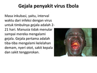 Gejala penyakit virus Ebola 
Masa inkubasi, yaitu, interval 
waktu dari infeksi dengan virus 
untuk timbulnya gejala adala...