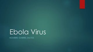 Ebola Virus 
NOMBRE: GABRIEL SALTOS 
 
