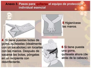 Anexo 3. Pasos para el equipo de protección 
Si tiene puestas botas de 
goma, quíteselas (idealmente 
con un sacabotas) sin tocarlas 
con las manos. Después de 
sacarse las botas, póngalas 
en un recipiente con 
desinfectante. 
Higienícese 
las manos. 
Si tiene puesta 
una gorra, 
quítesela ahora (de 
atrás de la cabeza). 
individual esencial 
27 
 