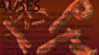 CAUSES •Blood: Butchering or eating infected 
animals can spread the viruses. 
•Waste products: Possibly through contact 
with the feces or urine of the infected. 
•Once people become infected with Ebola, 
they can transmit it to others if people 
come in contact with their breast milk, 
saliva, semen, sweat, or vomit. 
 