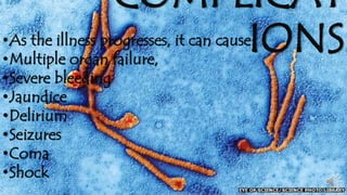 COMPLICAT 
•As the illness progresses, it can causeI: ONS 
•Multiple organ failure, 
•Severe bleeding 
•Jaundice 
•Delirium 
•Seizures 
•Coma 
•Shock 
 