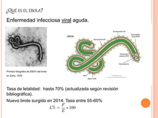 Seminario sobre Ebola
