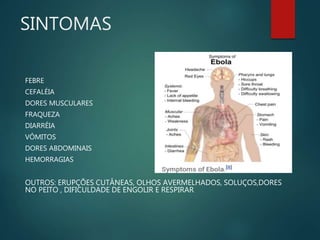 SINTOMAS
FEBRE
CEFALÉIA
DORES MUSCULARES
FRAQUEZA
DIARRÉIA
VÔMITOS
DORES ABDOMINAIS
HEMORRAGIAS
OUTROS: ERUPÇÕES CUTÂNEAS, OLHOS AVERMELHADOS, SOLUÇOS,DORES
NO PEITO , DIFICULDADE DE ENGOLIR E RESPIRAR
 