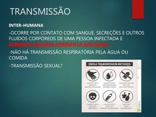 TRANSMISSÃO
INTER-HUMANA
-OCORRE POR CONTATO COM SANGUE, SECREÇÕES E OUTROS
FLUIDOS CORPÓREOS DE UMA PESSOA INFECTADA E
SOMENTE QUANDO APRESENTA SINTOMAS
-NÃO HÁ TRANSMISSÃO RESPIRATÓRIA PELA ÁGUA OU
COMIDA
-TRANSMISSÃO SEXUAL?
 