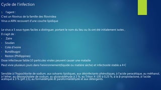 Cycle de l’infection
1. l’agent :
C’est un filovirus de la famille des filoviridea
Virus a ARN recouvert d’une couche lipidique
Le virus a 5 sous-types faciles a distinguer, portant le nom du lieu ou ils ont été initialement isoles ,
Il s’agit de :
• Zaïre
• Soudan
• Cote d’ivoire
• Bundibugyo
• Reston (Phillippines)
Dose infectieuse faible:10 particules virales peuvent causer une maladie
Peut vivre plusieurs jours dans l’environnement(liquide ou matière sèche) et infectiosité stable a 4◦C
Sensible à l’hypochlorite de sodium, aux solvants lipidiques, aux désinfectants phénoliques, à l’acide peracétique, au méthanol,
à l’éther, au désoxycholate de sodium, au glutaraldéhyde à 2 %, au Triton X-100 à 0,25 %, à la β-propiolactone, à l’acide
acétique à 3 % (pH 2,5), au formaldéhyde et paraformaldéhyde et aux détergents.
 