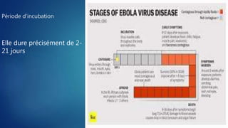 Période d’incubation
Elle dure précisément de 2-
21 jours
 