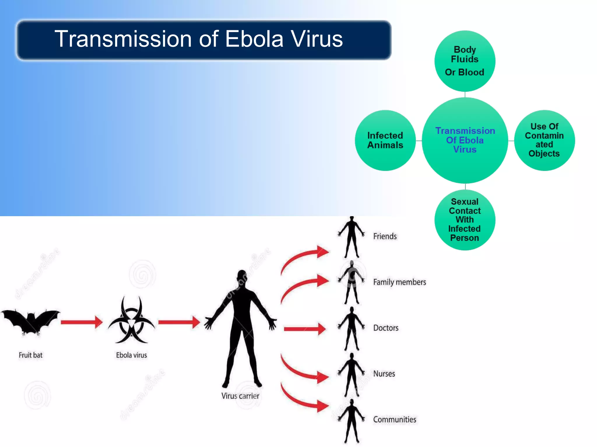Ebola | PPT