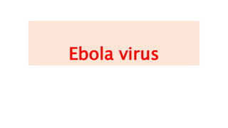 Ebola virus
 