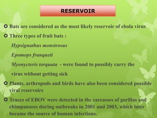  Bats are considered as the most likely reservoir of ebola virus
 Three types of fruit bats :
Hypsignathus monstrosus
Epomops franqueti
Myonycteris torquata - were found to possibly carry the
virus without getting sick
 Plants, arthropods and birds have also been considered possible
viral reservoirs
 Traces of EBOV were detected in the carcasses of gorillas and
chimpanzees during outbreaks in 2001 and 2003, which later
became the source of human infections.
RESERVOIR
 