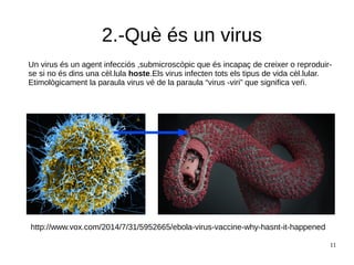 11
2.-Què és un virus
Un virus és un agent infecciós ,submicroscòpic que és incapaç de creixer o reproduir-
se si no és dins una cèl.lula hoste.Els virus infecten tots els tipus de vida cèl.lular.
Etimològicament la paraula virus vé de la paraula “virus -viri” que significa veŕi.
http://www.vox.com/2014/7/31/5952665/ebola-virus-vaccine-why-hasnt-it-happened
 