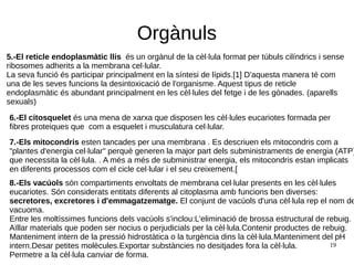 19
Orgànuls
5.-El reticle endoplasmàtic llis és un orgànul de la cèl·lula format per túbuls cilíndrics i sense
ribosomes adherits a la membrana cel·lular.
La seva funció és participar principalment en la síntesi de lípids.[1] D'aquesta manera té com
una de les seves funcions la desintoxicació de l'organisme. Aquest tipus de reticle
endoplasmàtic és abundant principalment en les cèl·lules del fetge i de les gònades. (aparells
sexuals)
6.-El citosquelet és una mena de xarxa que disposen les cèl·lules eucariotes formada per
fibres proteiques que com a esquelet i musculatura cel·lular.
7.-Els mitocondris esten tancades per una membrana . Es descriuen els mitocondris com a
"plantes d'energia cel·lular" perquè generen la major part dels subministraments de energia (ATP)
que necessita la cèl·lula. . A més a més de subministrar energia, els mitocondris estan implicats
en diferents processos com el cicle cel·lular i el seu creixement.[
8.-Els vacúols són compartiments envoltats de membrana cel·lular presents en les cèl·lules
eucariotes. Són considerats entitats diferents al citoplasma amb funcions ben diverses:
secretores, excretores i d'emmagatzematge. El conjunt de vacúols d'una cèl·lula rep el nom de
vacuoma.
Entre les moltíssimes funcions dels vacúols s'inclou:L'eliminació de brossa estructural de rebuig.
Aïllar materials que poden ser nocius o perjudicials per la cèl·lula.Contenir productes de rebuig.
Manteniment intern de la pressió hidrostàtica o la turgència dins la cèl·lula.Manteniment del pH
intern.Desar petites molècules.Exportar substàncies no desitjades fora la cèl·lula.
Permetre a la cèl·lula canviar de forma.
 