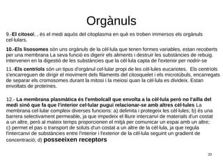 20
Orgànuls
10.-Els lisosomes són uns orgànuls de la cèl·lula que tenen formes variables, estan recoberts
per una membrana La seva funció es digerir els aliments i destruir les substàncies de rebuig.
Intervenen en la digestió de les substàncies que la cèl·lula capta de l'exterior per nodrir-se
9.-El citosol, , és el medi aquós del citoplasma en què es troben immersos els orgànuls
cel·lulars.
11.-Els centríols són un tipus d'orgànul cel·lular propi de les cèl·lules eucariotes. Els centríols
s'encarreguen de dirigir el moviment dels filaments del citosquelet i els microtúbuls, encarregats
de separar els cromosomes durant la mitosi i la meiosi quan la cèl·lula es divideix. Estan
envoltats de proteïnes.
12.- La membrana plasmàtica és l'embolcall que envolta a la cèl·lula però no l'aïlla del
medi sinó que fa que l'interior cel·lular pugui relacionar-se amb altres cèl·lules La
membrana cel·lular compleix diverses funcions: a) delimita i protegeix les cèl·lules; b) és una
barrera selectivament permeable, ja que impedeix el lliure intercanvi de materials d'un costat
a un altre, però al mateix temps proporcionen el mitjà per comunicar un espai amb un altre;
c) permet el pas o transport de soluts d'un costat a un altre de la cèl·lula, ja que regula
l'intercanvi de substàncies entre l'interior i l'exterior de la cèl·lula seguint un gradient de
concentració; d) posseeixen receptors
 