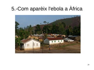 29
5.-Com aparèix l'ebola a Àfrica
 