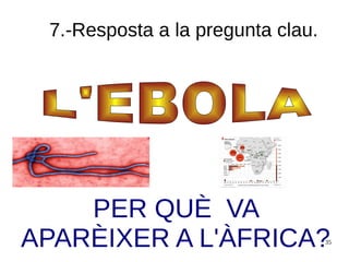 35
PER QUÈ VA
APARÈIXER A L'ÀFRICA?
7.-Resposta a la pregunta clau.
 