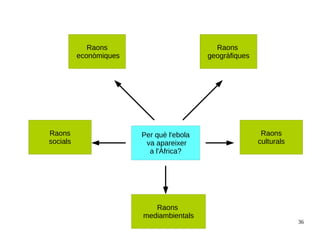 36
Raons
mediambientals
Raons
socials
Raons
culturals
Raons
geogràfiques
Raons
econòmiques
Per què l'ebola
va apareixer
a l'Àfrica?
 