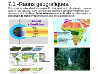 38
7.1 -Raons geogràfiques:
El riu ebola es troba a l'Africa equatorial.El clima tòrrid, amb calor elevada i constant
durat tot l'any i pluviòs i humit ,afavoreix les condicions pel desenvolupament d'un
ecosistema amb una flora i fauna exhuberant com és la selva, ecosistema que es
el reservori de molt de virus,molts dels qual encara desconèixem
 