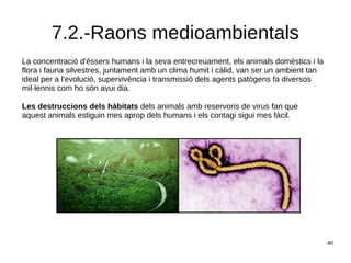 40
7.2.-Raons medioambientals
La concentració d'éssers humans i la seva entrecreuament, els animals domèstics i la
flora i fauna silvestres, juntament amb un clima humit i càlid, van ser un ambient tan
ideal per a l'evolució, supervivència i transmissió dels agents patògens fa diversos
mil·lennis com ho són avui dia.
Les destruccions dels hàbitats dels animals amb reservoris de virus fan que
aquest animals estiguin mes aprop dels humans i els contagi sigui mes fàcil.
 