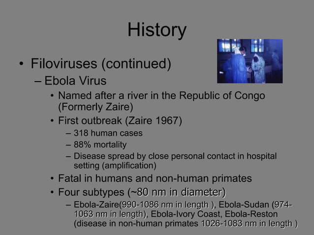 ebola-marburg-ppt