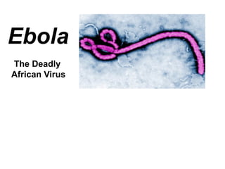 Ebola
The Deadly
African Virus
 