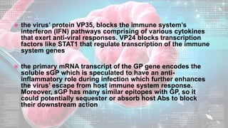  the virus’ protein VP35, blocks the immune system’s
interferon (IFN) pathways comprising of various cytokines
that exert anti-viral responses. VP24 blocks transcription
factors like STAT1 that regulate transcription of the immune
system genes
 the primary mRNA transcript of the GP gene encodes the
soluble sGP which is speculated to have an anti-
inflammatory role during infection which further enhances
the virus’ escape from host immune system response.
Moreover, sGP has many similar epitopes with GP, so it
could potentially sequester or absorb host Abs to block
their downstream action
 