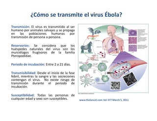 ¿Cómo se transmite el virus Ébola?
Transmisión: El virus es transmitido al ser
humano por animales salvajes y se propaga
en las poblaciones humanas por
transmisión de persona a persona.
Reservorios: Se considera que los
huéspedes naturales del virus son los
murciélagos frugívoros de la familia
Pteropodidae.
Periodo de incubación: Entre 2 a 21 días.
Transmisibilidad: Desde el inicio de la fase
febril, mientras la sangre y las secreciones
contengan el virus. No existe riesgo de
transmisión durante el período de
incubación.
Susceptibilidad: Todas las personas de
cualquier edad y sexo son susceptibles. www.thelancet.com Vol 377 March 5, 2011
 