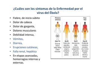 ¿Cuáles son los síntomas de la Enfermedad por el
virus del Ébola?
• Fiebre, de inicio súbito
• Dolor de cabeza
• Dolor de garganta,
• Dolores musculares
• Debilidad intensa,
• Vómitos,
• Diarrea,
• Erupciones cutáneas,
• Falla renal, hepática
• En etapas avanzadas,
hemorragias internas y
externas.
 