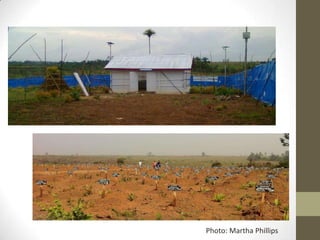 Photo: Martha Phillips
 