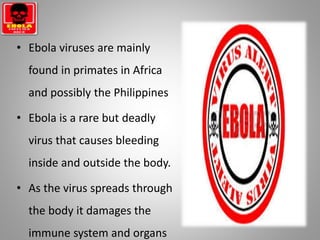 • Ebola viruses are mainly
found in primates in Africa
and possibly the Philippines
• Ebola is a rare but deadly
virus that causes bleeding
inside and outside the body.
• As the virus spreads through
the body it damages the
immune system and organs
 