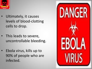 • Ultimately, it causes
levels of blood-clotting
cells to drop.
• This leads to severe,
uncontrollable bleeding.
• Ebola virus, kills up to
90% of people who are
infected.
 