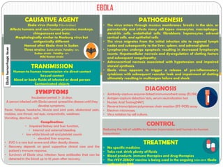 TRANSMISSION
Human-to-human transmission via direct contact
Sexual contact
Blood or body fluids of infected or dead person
Contaminated objects
Incubation: 3-14 days
EBOLA
SYMPTOMS
Incubation period: 2- 21 days.
A person infected with Ebola cannot spread the disease until they
develop symptoms.
Fever, fatigue, headache, Muscle and joint pain, abdominal pain,
malaise, sore throat, red eyes, conjunctivitis, weakness
Vomiting, diarrhea, rash
Complications
• Impaired kidney and liver function,
• Internal and external bleeding
• low white blood cell and platelet counts
• elevated liver enzymes.
• EVD is a rare but severe and often deadly disease.
• Recovery depends on good supportive clinical care and the
patient’s immune response.
• Survivors of Ebola virus infection have antibodies that can be
detected in the blood up to 10 years after recovery.
TREATMENT
• No specific medicine
• Take rest, drink plenty of fluids
• Blood products, immune therapies and drug therapies
• The rVSV-ZEBOV vaccine is being used in the ongoing 2018-2019 Ebola
outbreak in DRC.
CAUSATIVE AGENT
Ebola virus (Family:Filoviridae)
Affects humans and non human primates( monkeys,
chimpanzees and bats)
Morphologically similar to Marburg virus but
antigenically different.
Named after Ebola river in Sudan.
Three strains: Zaire strain; Fatality- 90%
Sudan strain ; Fatality- 50%
Mild Reston strain
DIAGNOSIS
• Antibody-capture enzyme-linked immunosorbent assay (ELISA)
• Antigen-capture detection tests, serum neutralization test
• Nucleic Acid Testing(NAT)
• Reverse transcriptase polymerase chain reaction (RT-PCR) assay
• Electron microscopy
• Virus isolation by cell culture.
CONTROL
Reducing the risk of wildlife-to-human transmission and human-to-human
transmission
PATHOGENESIS
• The virus enters through mucous membranes, breaks in the skin, or
parenterally and infects many cell types- monocytes, macrophages,
dendritic cells, endothelial cells, fibroblasts, hepatocytes, adrenal
cortical cells, and epithelial cells.
• The virus migrates from the initial infection site to regional lymph
nodes and subsequently to the liver, spleen, and adrenal gland.
• Lymphocytes undergo apoptosis resulting in decreased lymphocyte
counts. Hepatocellular necrosis and dysregulation of clotting factors
and subsequent coagulopathy.
• Adrenocortical necrosis associated with hypotension and impaired
steroid synthesis.
• Ebola virus appears to trigger a release of pro-inflammatory
cytokines with subsequent vascular leak and impairment of clotting
ultimately resulting in multiorgan failure and shock.
Ebolahemorrhagicfever
 