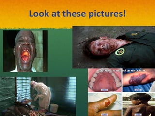 Look at these pictures!
 