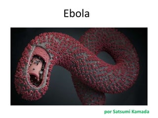 Ebola 
por Satsumi Kamada 
 