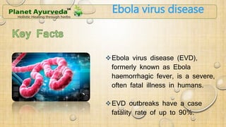 Ebola virus disease 
Ebola virus disease (EVD), 
formerly known as Ebola 
haemorrhagic fever, is a severe, 
often fatal illness in humans. 
EVD outbreaks have a case 
fatality rate of up to 90%. 
 