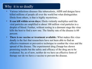 Why it is so deadly 
• Various infectious diseases like tuberculosis, AIDS and dengue have 
killed millions of people all over the world but what distinguishes 
Ebola from others, is that is highly mysterious.. 
• It can kill within seven days: Ebola violently multiplies until the 
viral particles are amplified to about 100 million viral particles in a 
droplet of blood. Further, without resting in a dormant stage the virus 
kills the host to find a new one. The fatality rate of the disease is 60 
percent. 
• There is no vaccine or treatment available: What makes this virus 
deadly is the fact that researchers have not been able to find an 
effective treatment or preventive technique to combat the virus and the 
spread of the disease. The experimental drug Zmapp has shown 
promising results but the safety and efficacy of the drug are to be 
evaluated. So, as of now, neither do we have an effective form of 
therapy nor do we have a vaccine to prevent the disease. 
 
