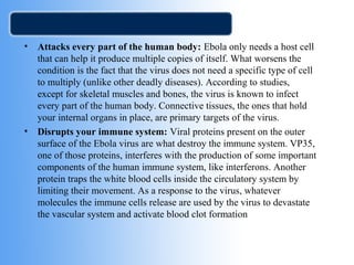 • Attacks every part of the human body: Ebola only needs a host cell 
that can help it produce multiple copies of itself. What worsens the 
condition is the fact that the virus does not need a specific type of cell 
to multiply (unlike other deadly diseases). According to studies, 
except for skeletal muscles and bones, the virus is known to infect 
every part of the human body. Connective tissues, the ones that hold 
your internal organs in place, are primary targets of the virus. 
• Disrupts your immune system: Viral proteins present on the outer 
surface of the Ebola virus are what destroy the immune system. VP35, 
one of those proteins, interferes with the production of some important 
components of the human immune system, like interferons. Another 
protein traps the white blood cells inside the circulatory system by 
limiting their movement. As a response to the virus, whatever 
molecules the immune cells release are used by the virus to devastate 
the vascular system and activate blood clot formation 
 