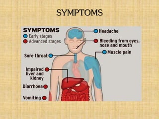 SYMPTOMS
 