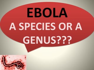 EBOLA
A SPECIES OR A
GENUS???
 