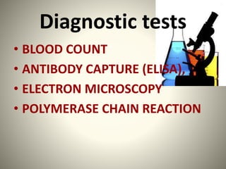 Diagnostic tests
• BLOOD COUNT
• ANTIBODY CAPTURE (ELISA),
• ELECTRON MICROSCOPY
• POLYMERASE CHAIN REACTION
 