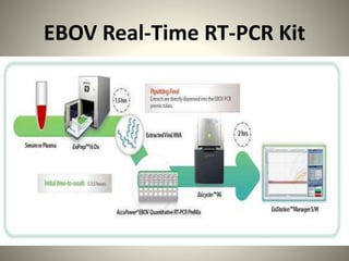 EBOV Real-Time RT-PCR Kit
 