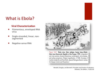 What	
 is	
 Ebola?
Viral	
 Characteriza%on
¡  Filamentous,	
 enveloped	
 RNA	
 
virus	
 
¡  Single-­‐stranded,	
 linear,	
 non-­‐
segmented	
 
¡  Nega^ve-­‐sense	
 RNA	
 	
 
Mandell,	
 Douglas,	
 and	
 Benne>'s	
 Principles	
 and	
 Prac^ce	
 of	
 Infec^ous	
 
Diseases,	
 7th	
 edi^on	
 ,	
 P	
 2261-­‐64	
 
 