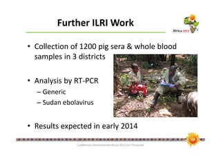 Ebola risk in the pig value chain in uganda