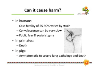 Ebola risk in the pig value chain in uganda