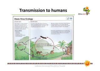 Ebola risk in the pig value chain in uganda