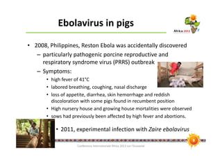 Ebola risk in the pig value chain in uganda