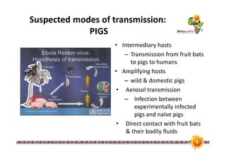 Ebola risk in the pig value chain in uganda